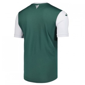 Goedkope Hibernian Thuisshirt 2025-26